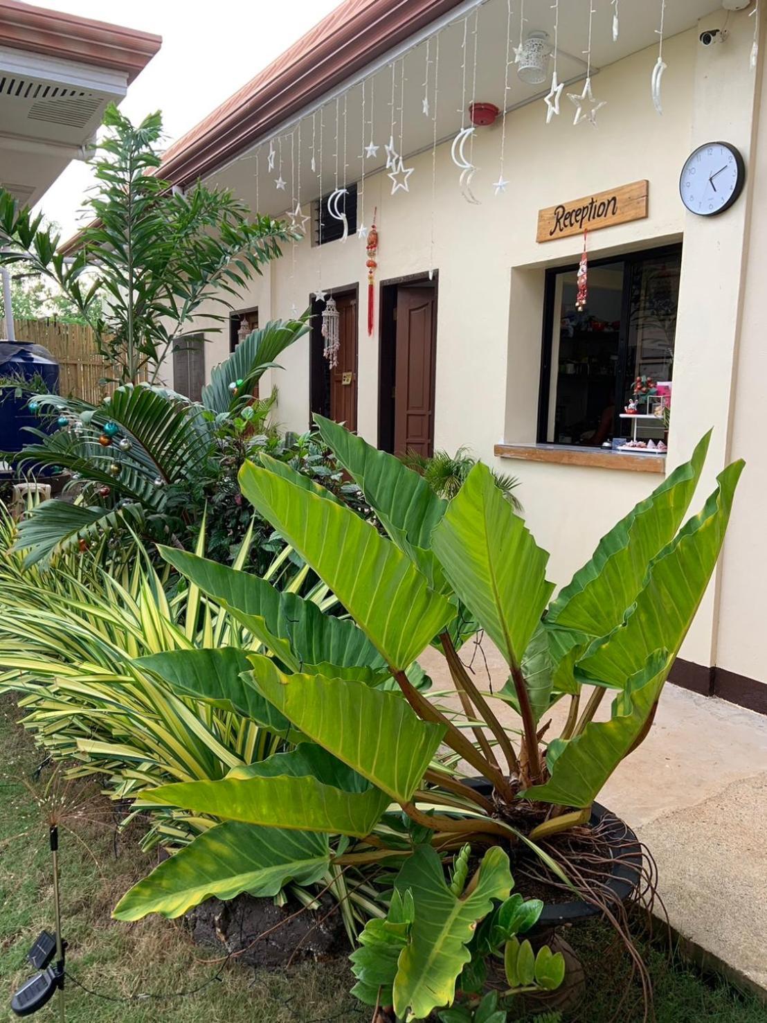 Mingche Apartment Panglao Zewnętrze zdjęcie